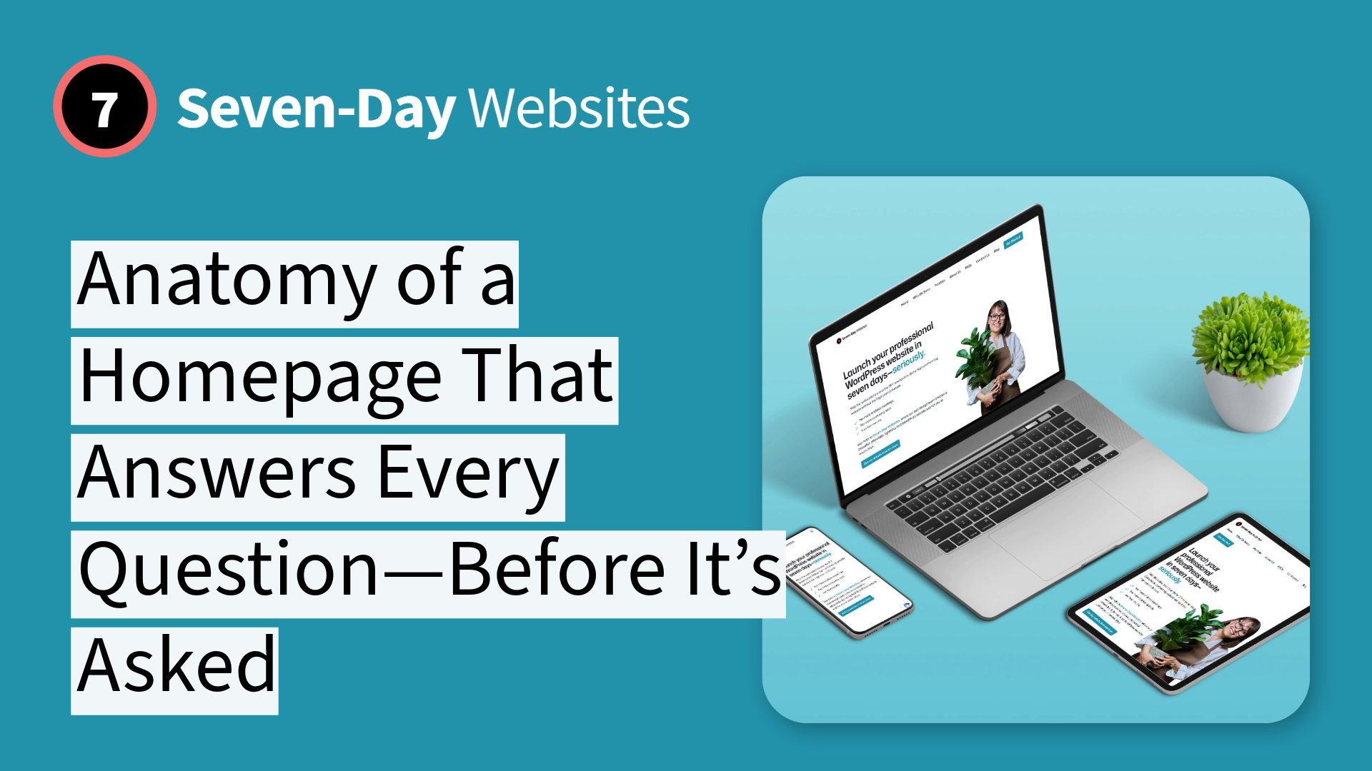 A laptop, smartphone, and tablet display the same website on a blue surface next to a small green plant. Text reads: Seven-Day Websites: Anatomy of a Homepage That Answers Every Question—Before It’s Asked.